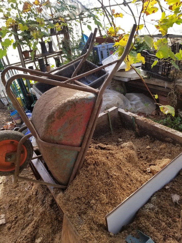 20201116_081838_copy_2268x3024