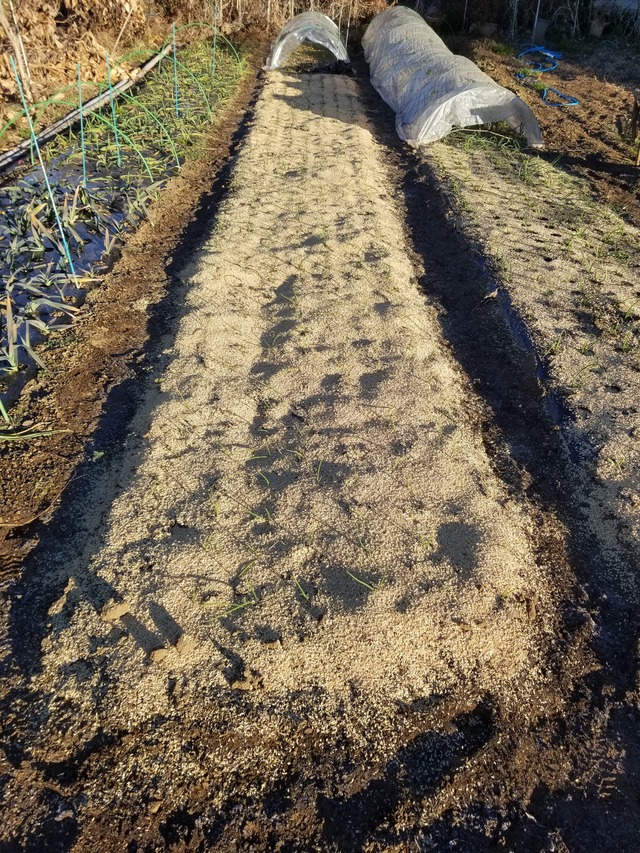 20211227_075522_copy_2268x3024