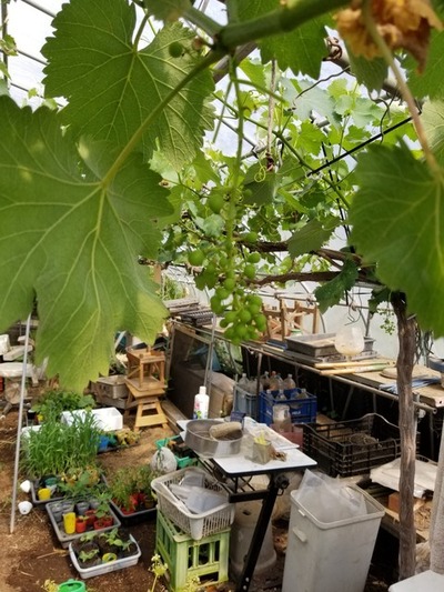 20190531_083356-1620x2160