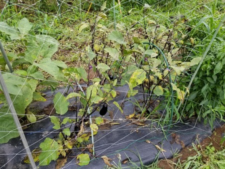 20190707_103525-2160x1620