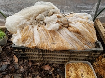 20200127_085529-3024x2268