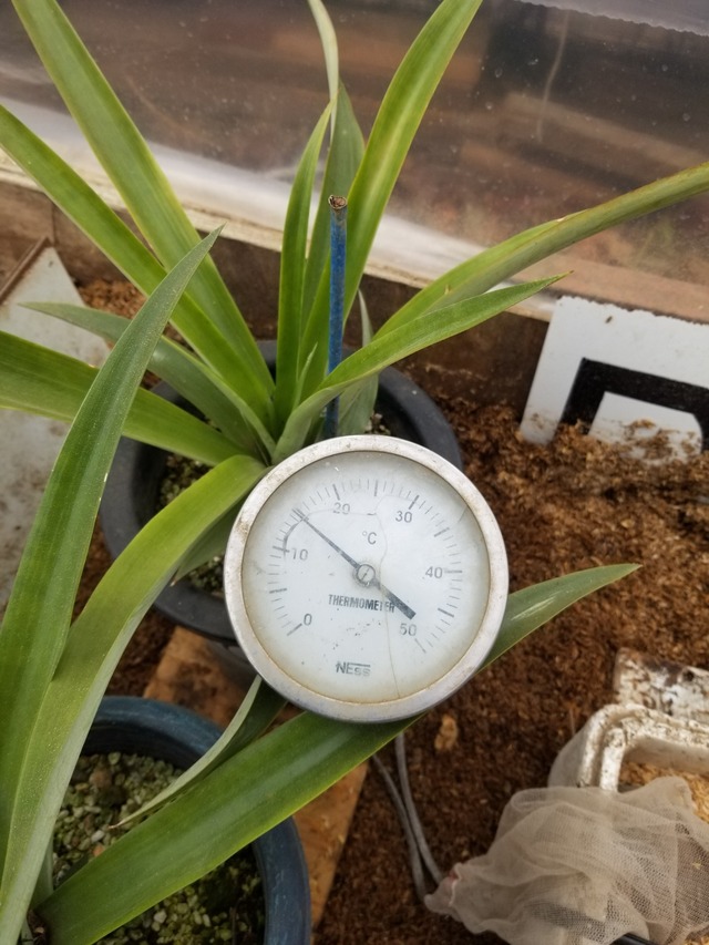 20231228_101407_copy_1512x2016