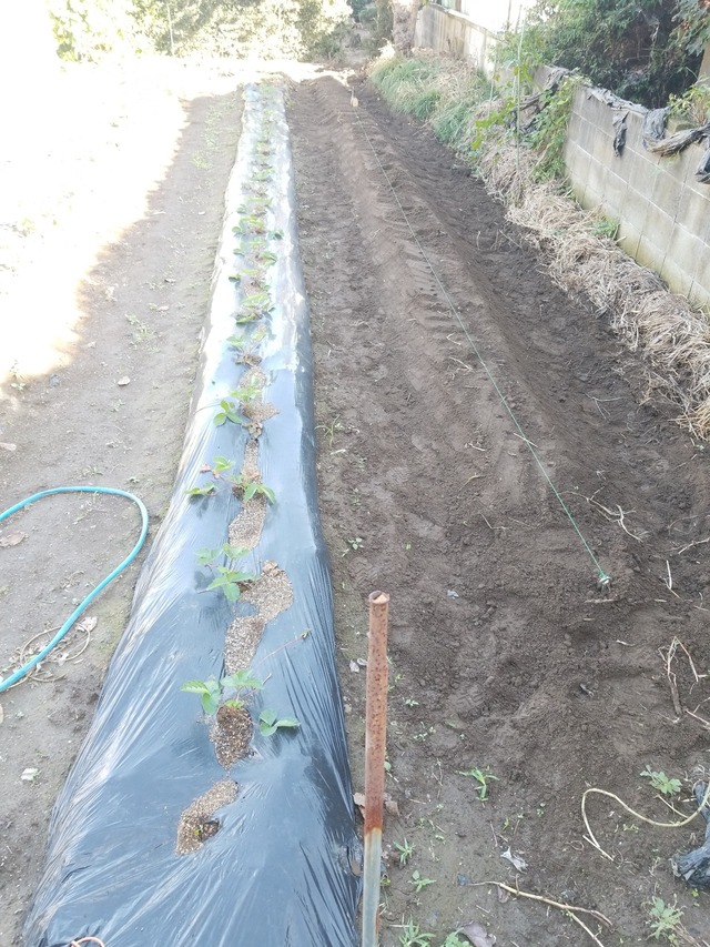 IMG_20231017_142910_copy_1512x2016