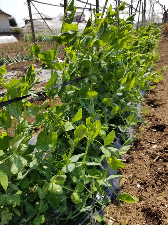 20230401_111239_copy_1512x2016