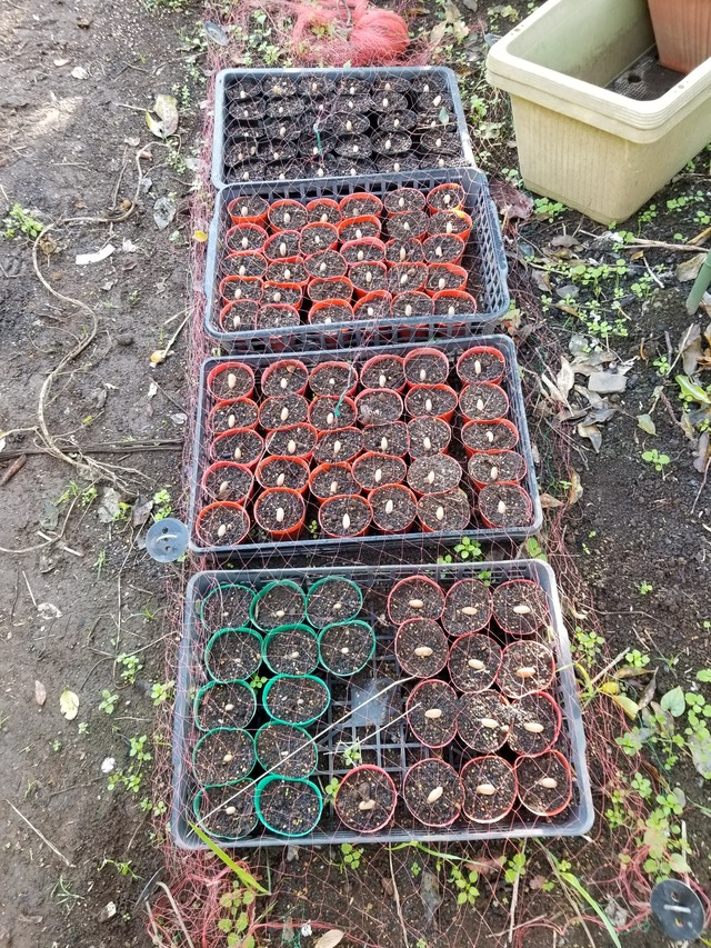 20201105_080554_copy_2268x3024