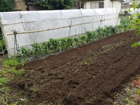 20190706_102144-2160x1620