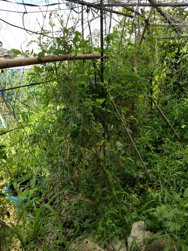 20210803_084349_copy_2268x3024