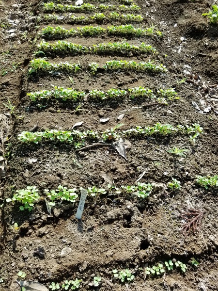 20190927_084318-1620x2160