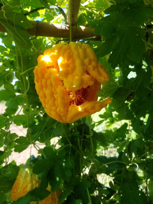 IMG_20230913_110426_copy_1512x2016