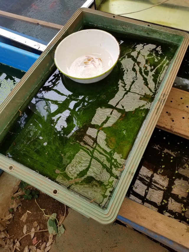 20230506_101447_copy_1512x2016