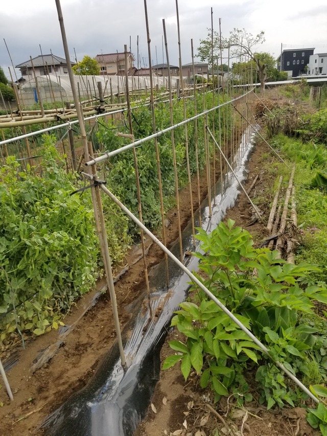 20230513_105817_copy_1512x2016