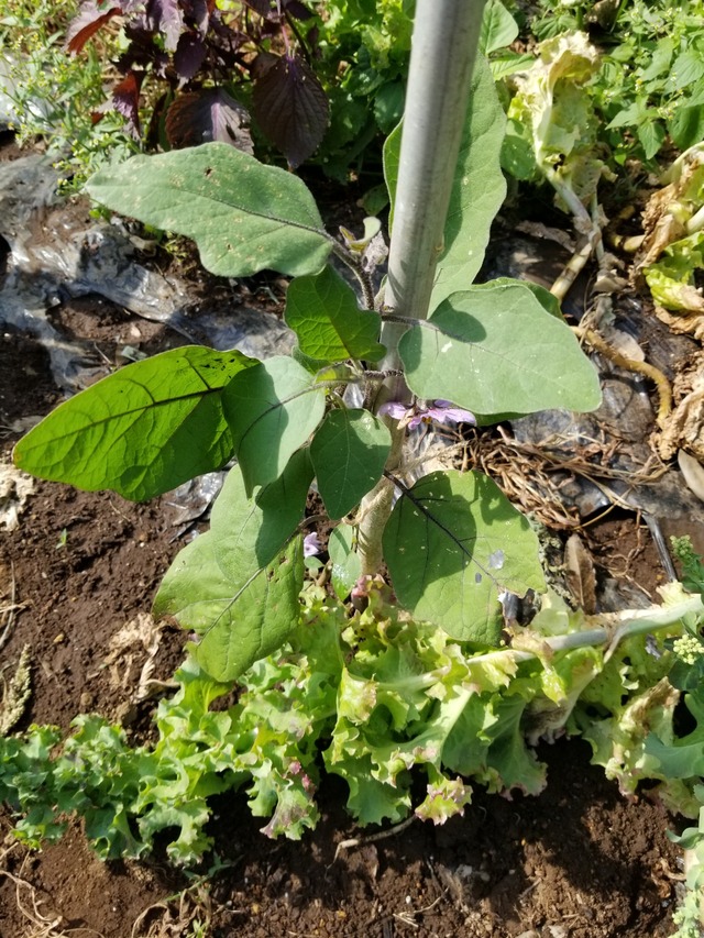 20220630_080329_copy_1512x2016