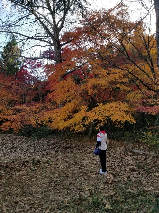 20201122_140657_copy_3024x4032