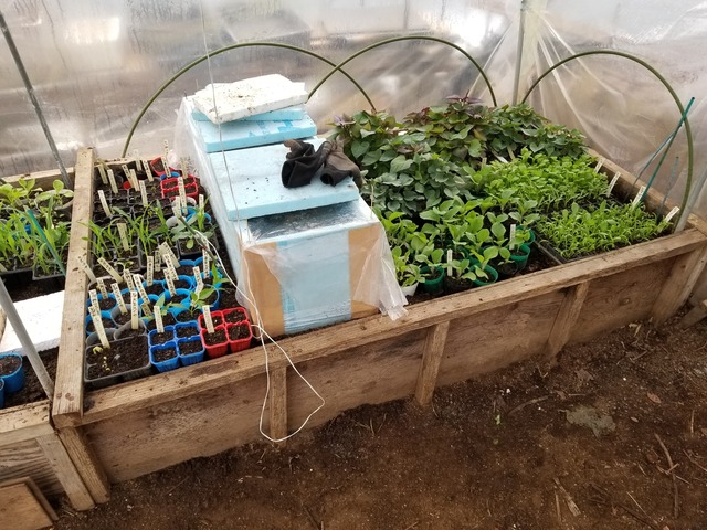 20200329_151833_copy_3024x2268