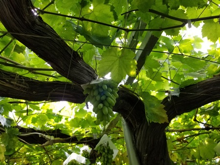 20190728_134436-2160x1620