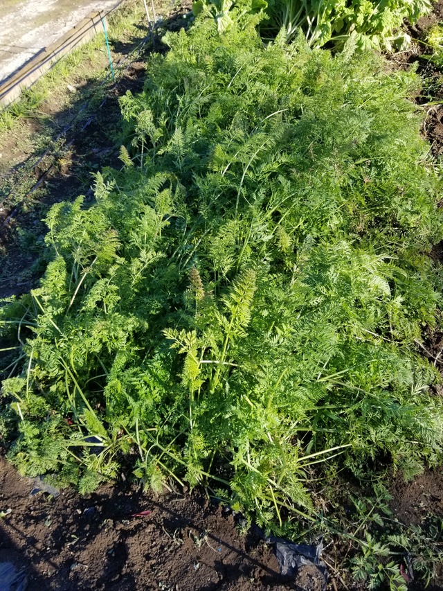 20211218_141603_copy_2268x3024