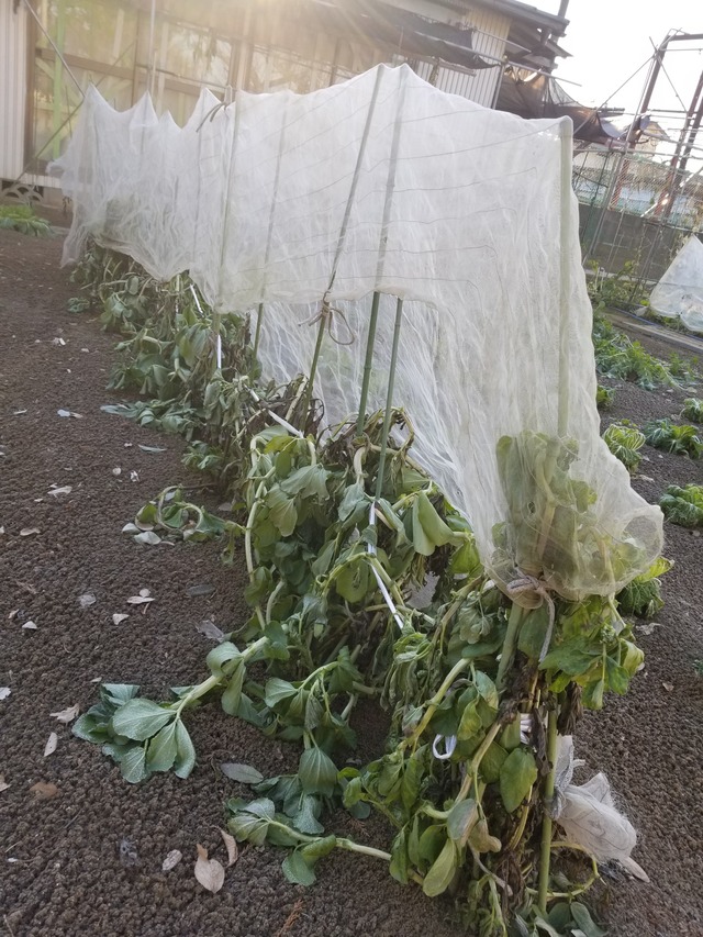 20220119_081232_copy_2268x3024