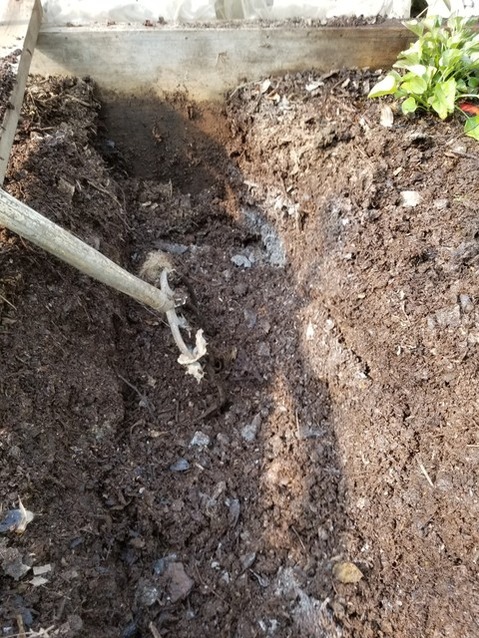 20190508_075933-1620x2160