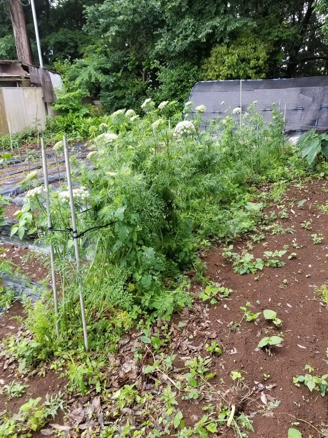 20230520_100404_copy_1512x2016