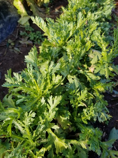 20200110_084008-2268x3024