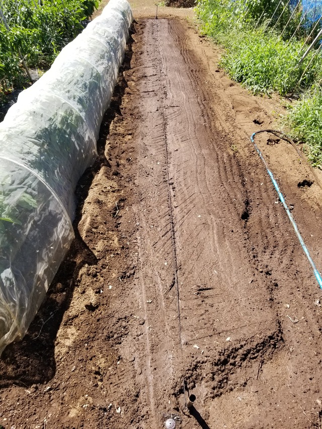 20210806_093644_copy_2268x3024