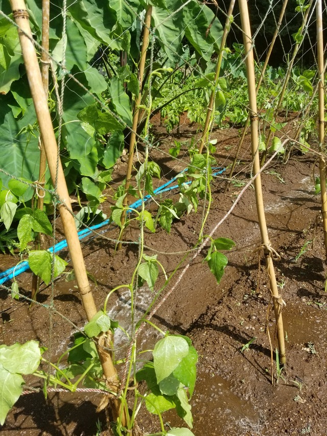 20230819_091233_copy_1512x2016