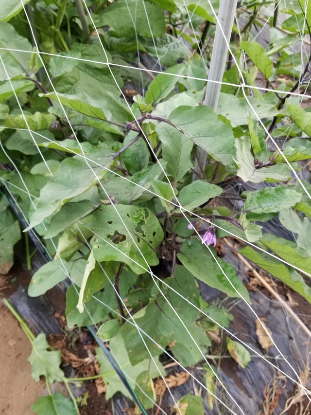 20210723_171204_copy_2268x3024