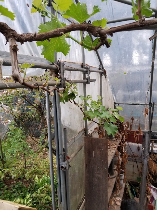 20210414_074209_copy_2268x3024