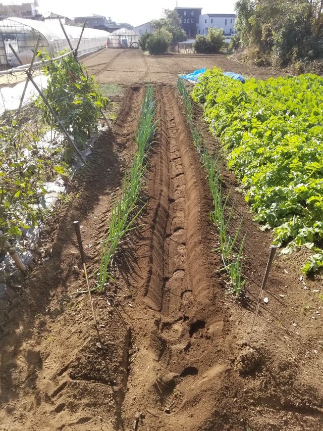 20221107_093753_copy_1512x2016