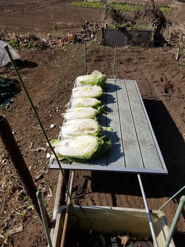 20230113_112503_copy_1512x2016