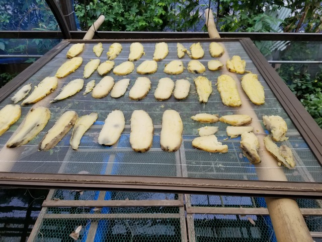 20221014_123618_copy_2016x1512