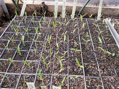 20200220_082633-3024x2268