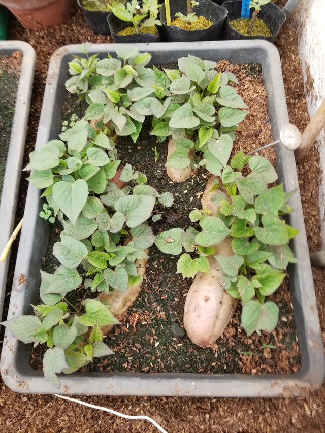 20240326_092504_copy_2268x3024