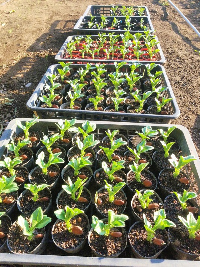 IMG_20231108_151015_DRO_copy_1209x1612