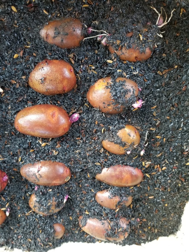 20230820_141541_copy_1512x2016