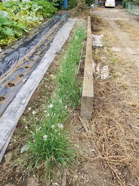 20190905_084821-1620x2160