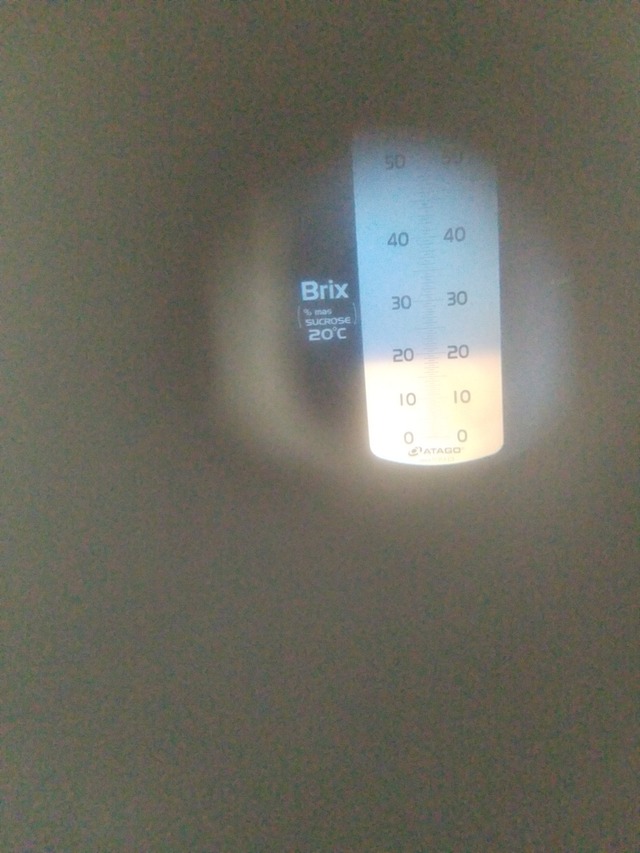 IMG_20231018_111500_copy_1512x2016