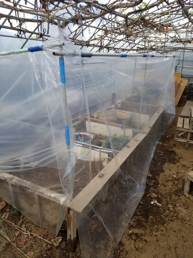 20231220_110617_copy_1512x2016