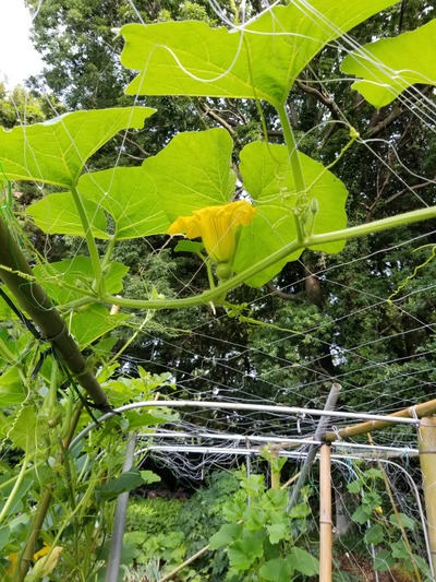 20190625_073951-1620x2160