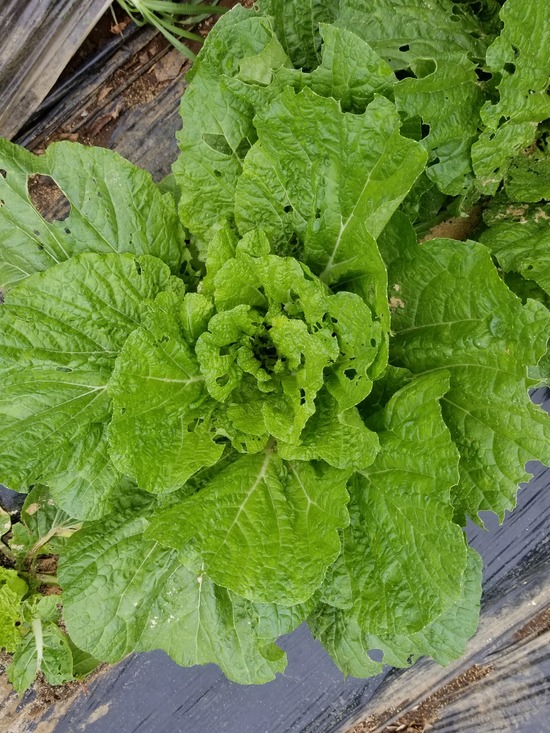 20191007_083243-1620x2160