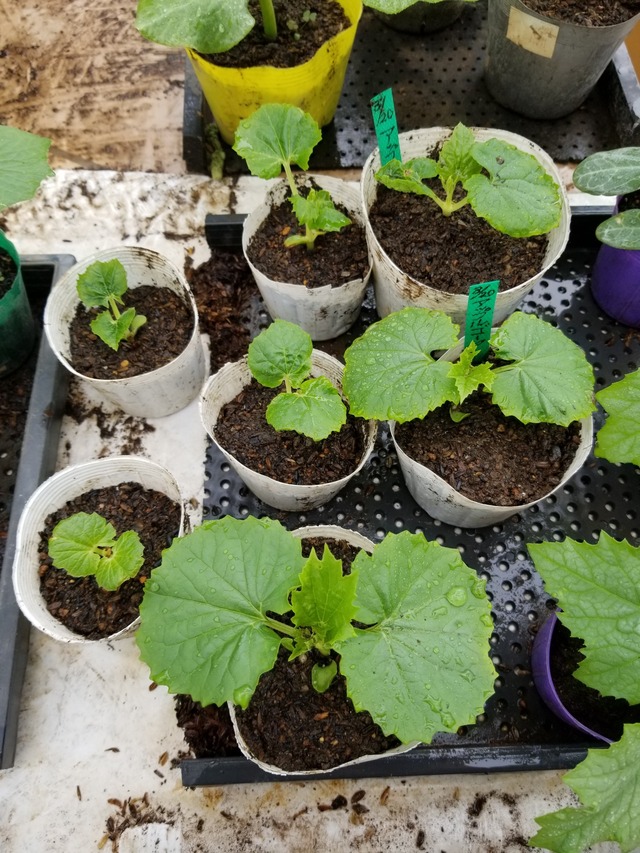 20230416_140024_copy_1512x2016