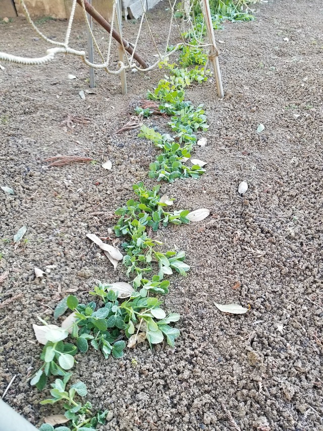 20220119_081212_copy_2268x3024