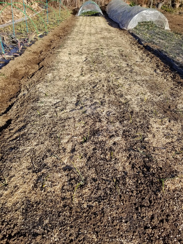 20220120_084246_copy_2268x3024