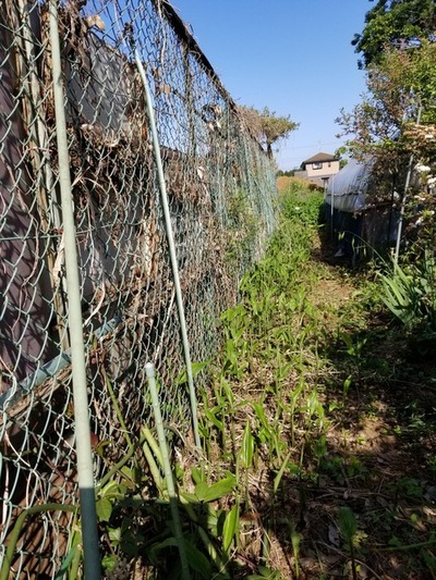 20190516_074506-1620x2160