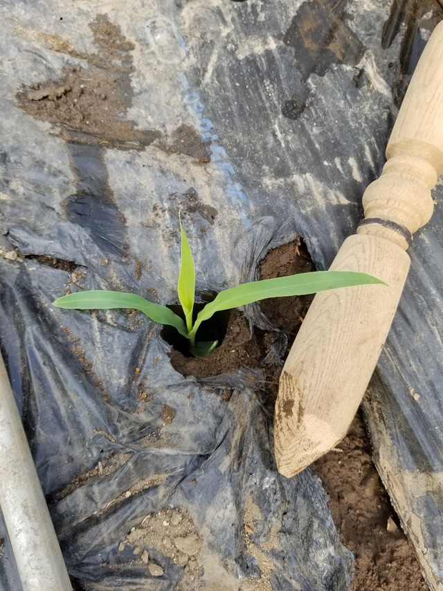 20230320_084848_copy_1209x1612