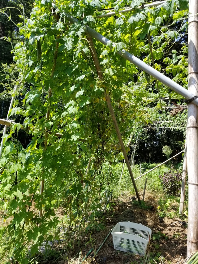 20200813_103719_copy_2268x3024