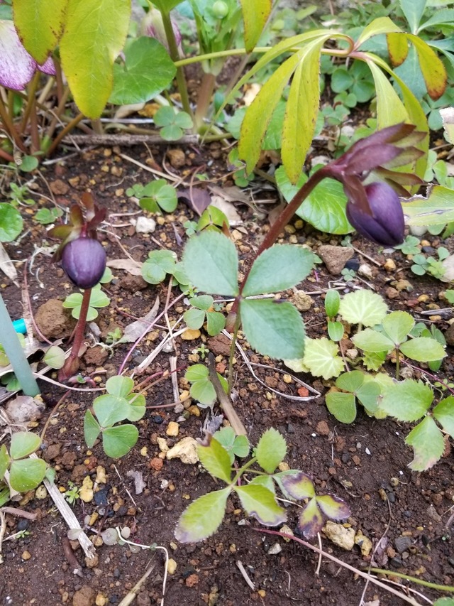 20230304_161725_copy_1209x1612