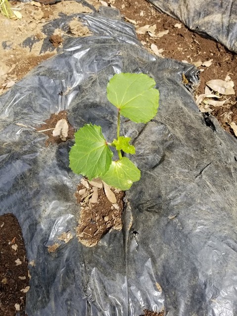 20190515_085515-1620x2160