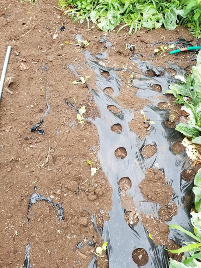 20190624_091936-1620x2160