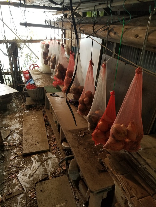 20230719_092921_copy_1512x2016